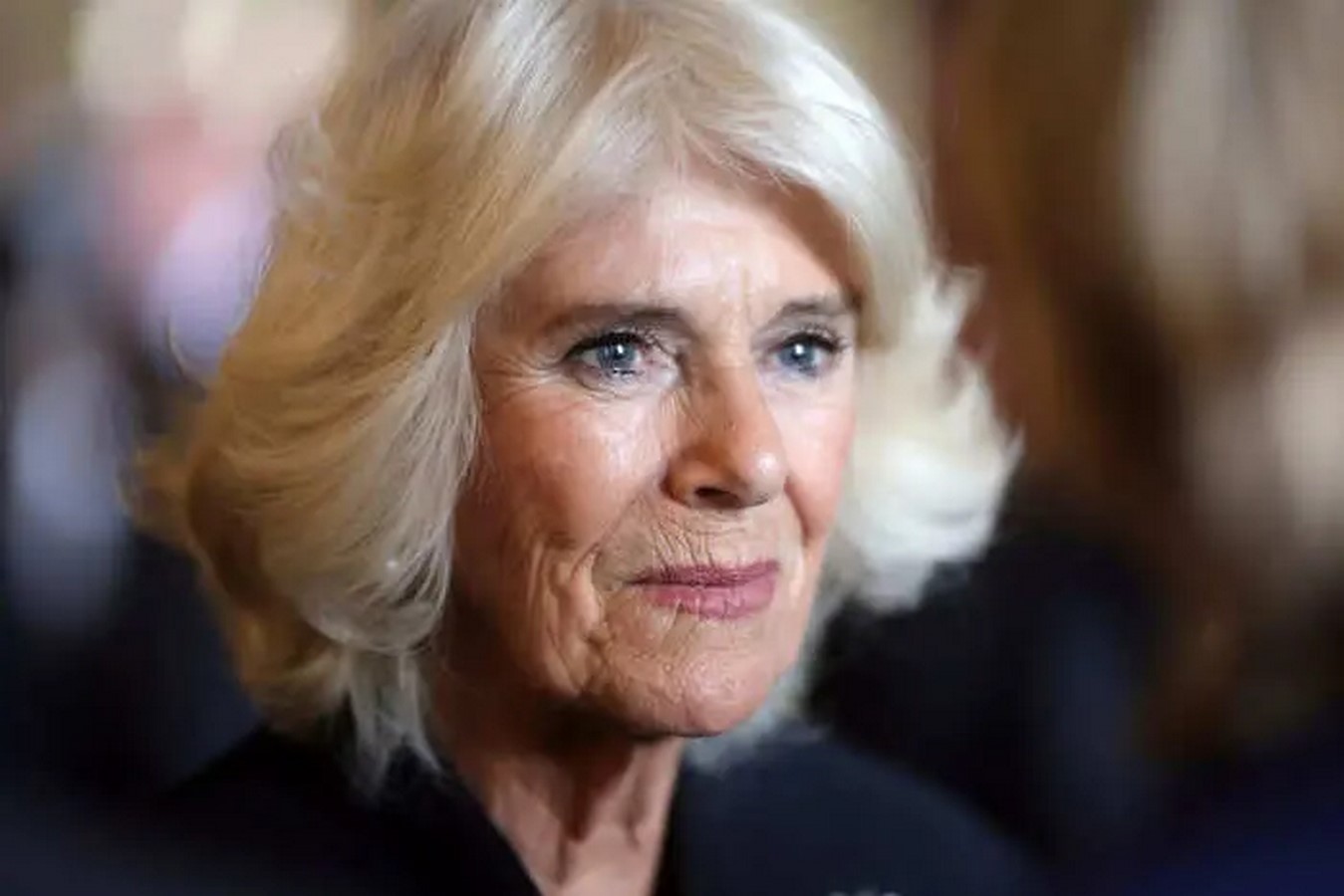 Queen Camilla Temporarily Steps Back from Royal Duties Modernema